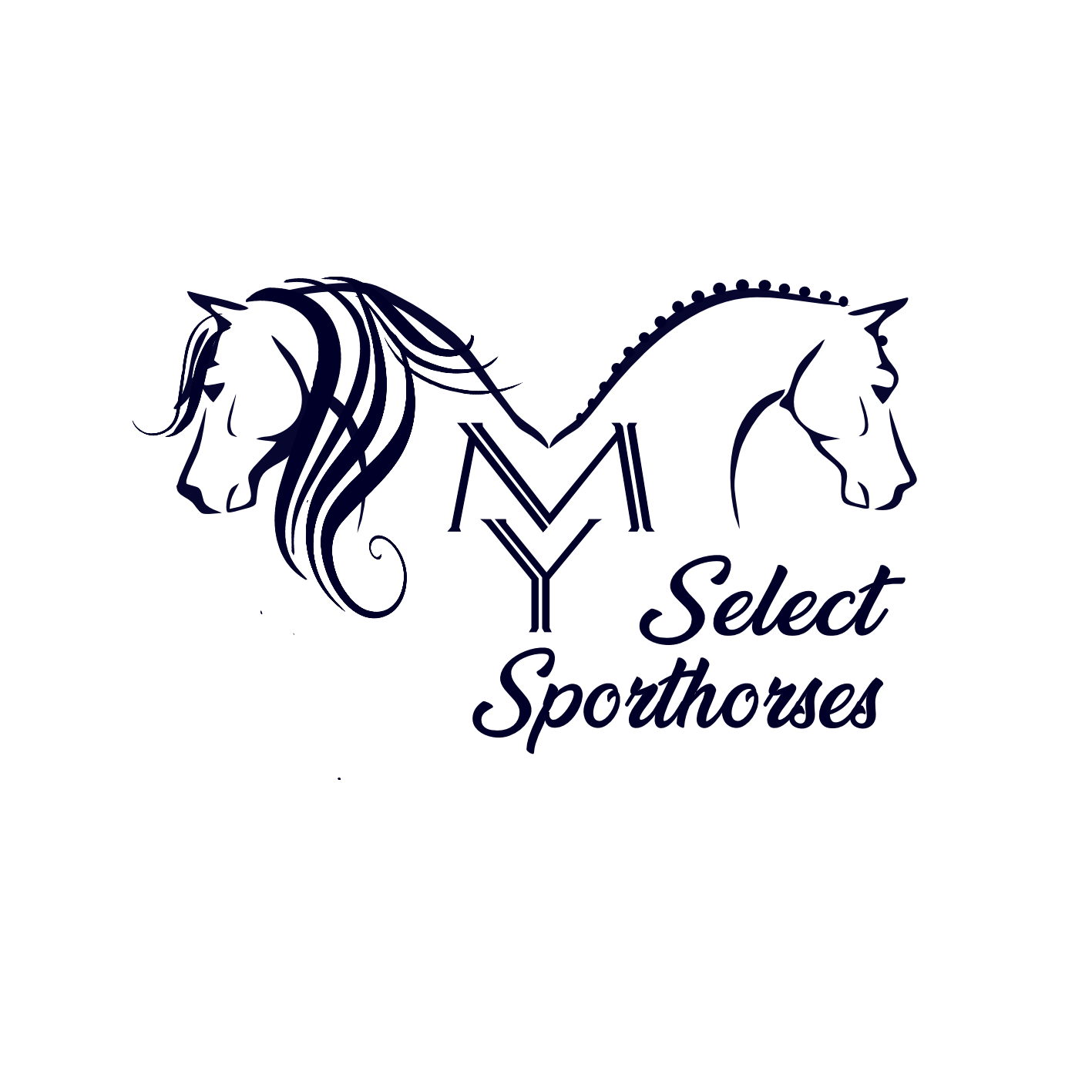 MY Select Sporthorses